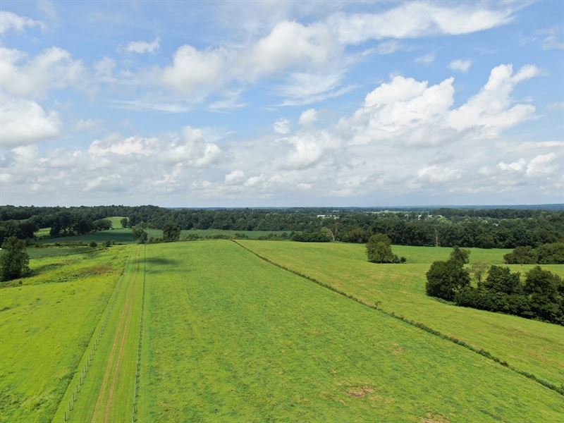 330 Acre Farm Scottsville KY, Farm for Sale in Kentucky, 254833 FARMFLIP