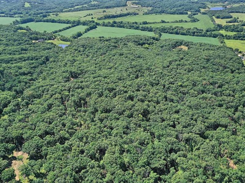 114 Acres for Sale Unionville, Farm for Sale in Iowa, 255026 FARMFLIP