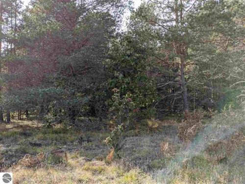 Development Potential : Cadillac : Wexford County : Michigan