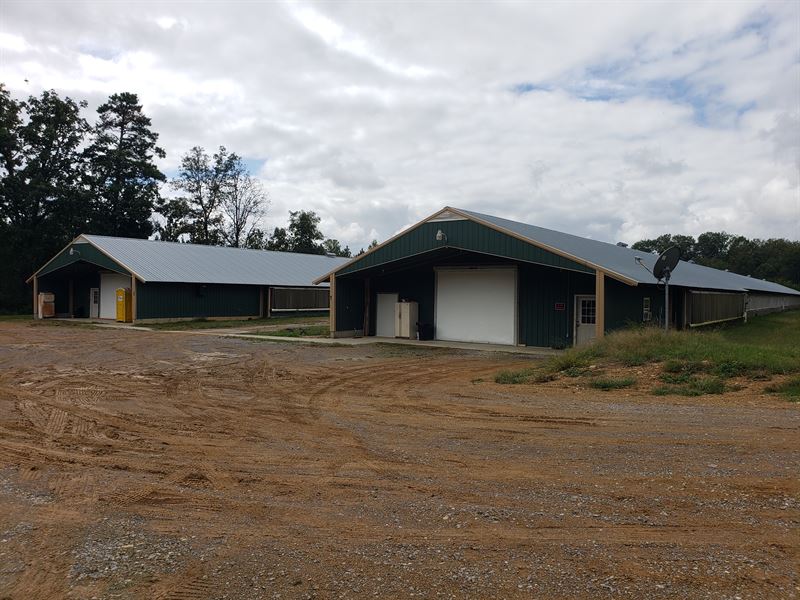 Excellent 2 House Poultry Breeder, Farm for Sale in 255302