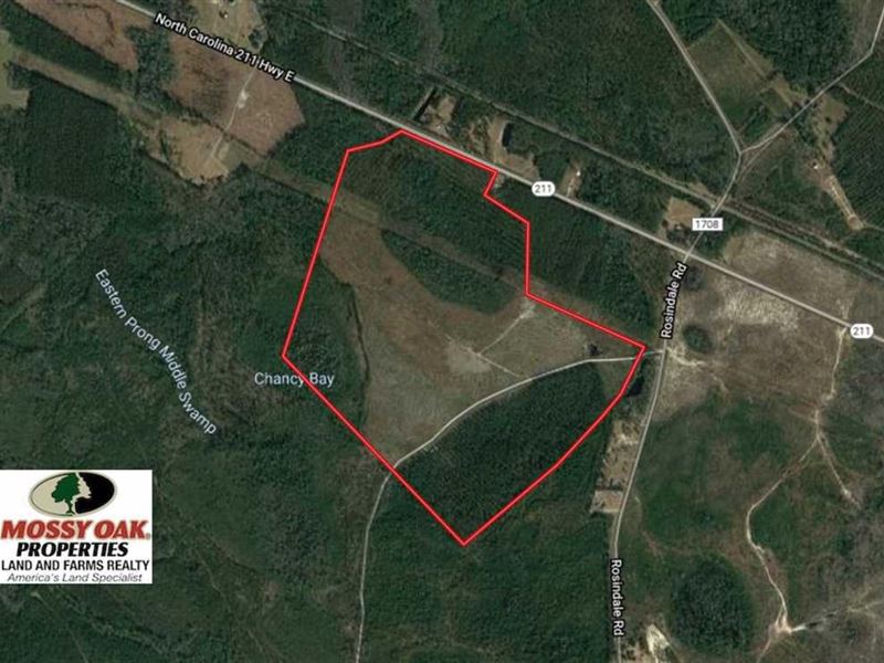 233 Acres of Timber And Hunting Lan Farm for Sale in Clarkton, Bladen