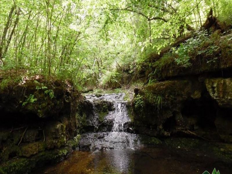 Year Round Creek Cave Farm For By Owner In Houston Texas County Missouri 255447 Farmflip Year Round Creek Cave Farm For, State Farm Houston Mo