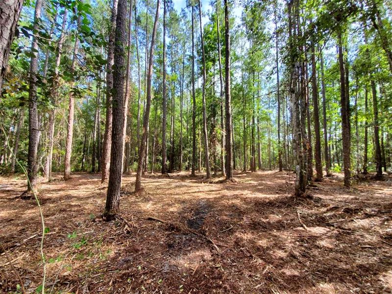 11 Ac Land for Sale Kingsland, GA, Farm for Sale in 255492