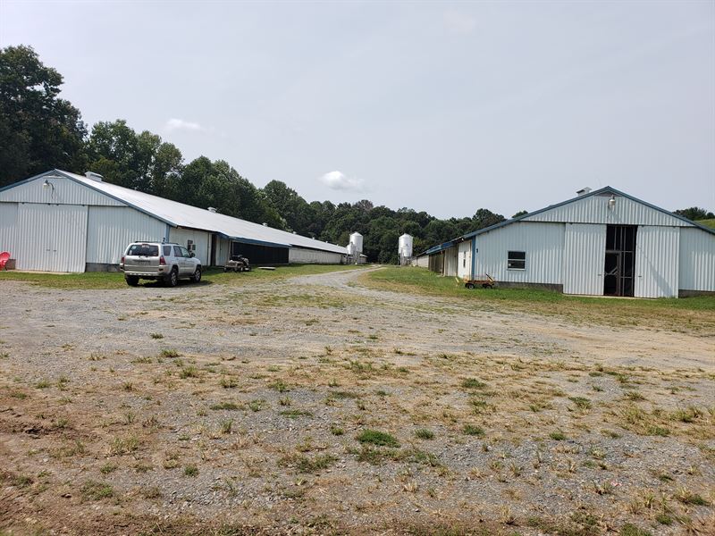 2 House Poultry Breeder Farm : Ellijay : Gilmer County : Georgia