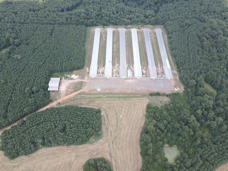 cass county hobby farm for sale cass county hobby farm for sale
