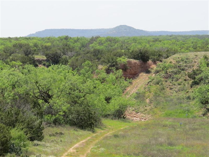 Pecan Springs Ranch 30 : Robert Lee : Coke County : Texas
