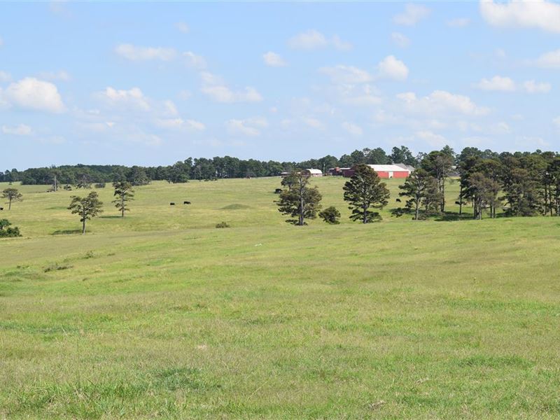 Young Land & Cattle, Farm for Sale in Oklahoma, 255804 FARMFLIP