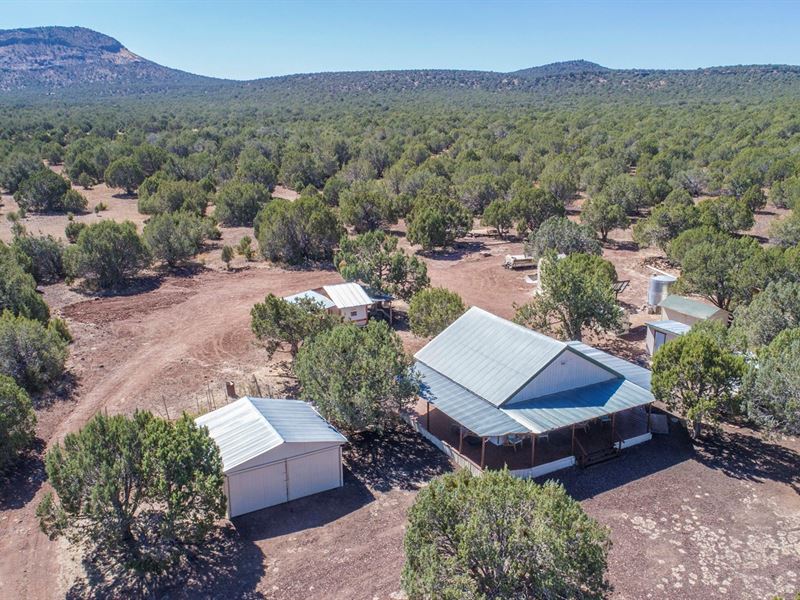 Off Grid Cabin Northern Arizona : Williams : Coconino County : Arizona