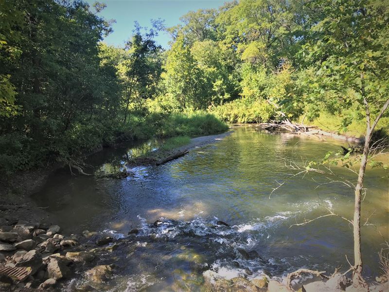 511+ Acre Premier Hunting Property, Farm for Sale in Minnesota, 255854