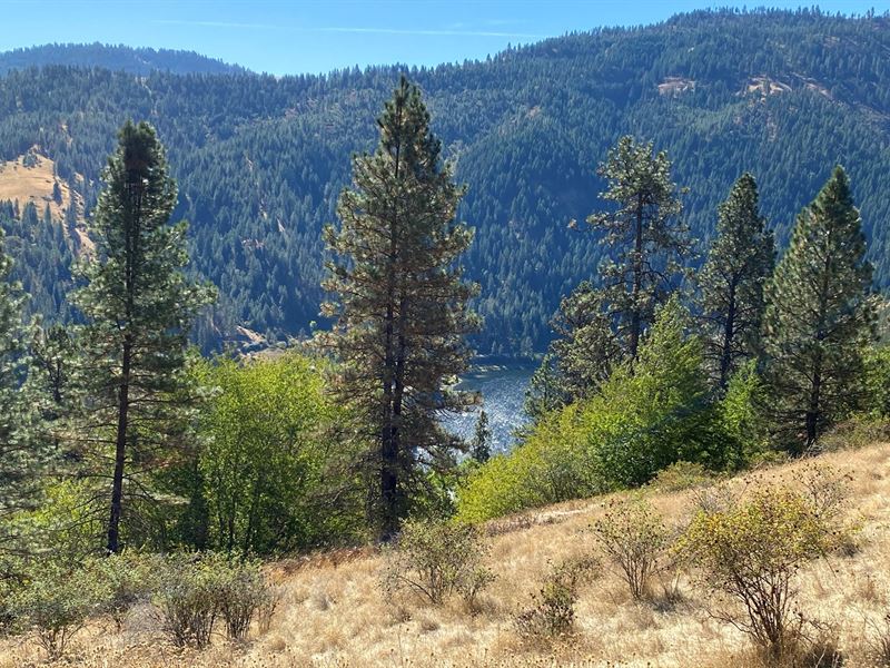 Rural Home Site Clearwater River, Farm for Sale in Idaho, 256026
