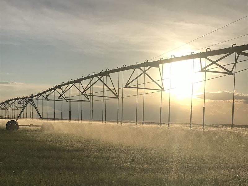 Pleasant Valley Irrigated Farmland, Farm for Sale in Colorado, 256049 FARMFLIP