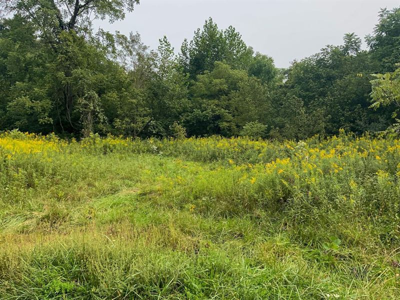 Hysell Run Rd, 72 Acres, Meigs Co, Farm for Sale in Ohio, 256052 FARMFLIP