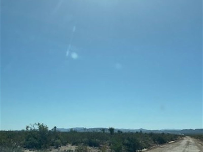 20 Acres Just Foreclosed, $168/Mo : Sierra Blanca : Hudspeth County : Texas
