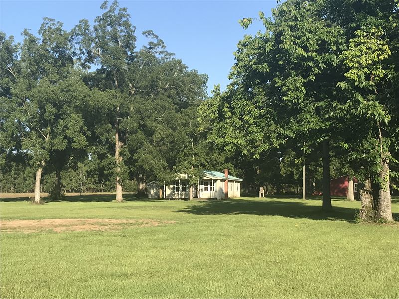 Mosquito Creek : Chattahoochee : Gadsden County : Florida