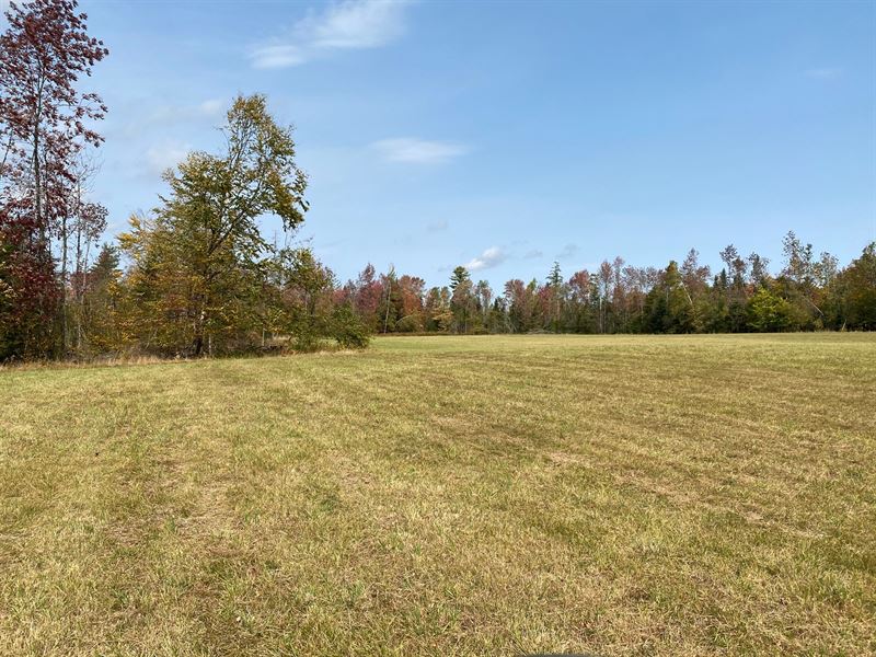 Maine Land for Sale in Dexter, ME, Farm for Sale in Maine, 256216