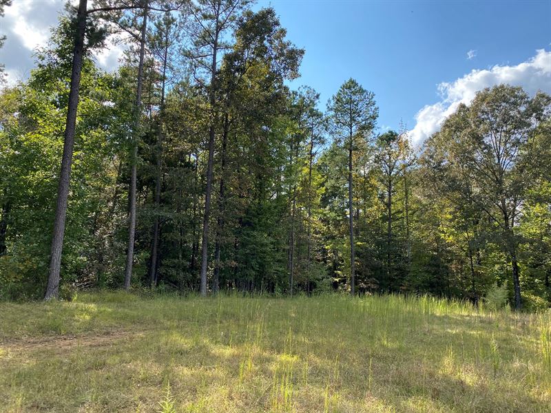 5 Acres Land Tn, Clear Building, Farm for Sale in Tennessee, 256343