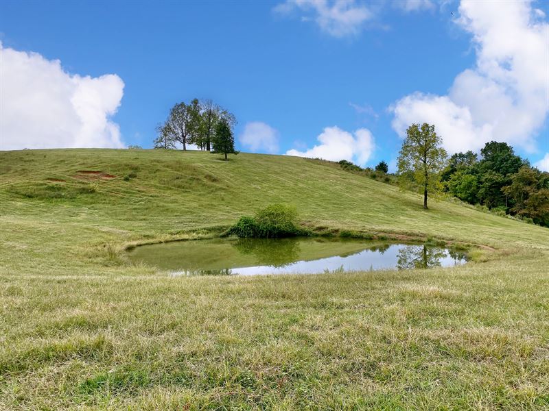 Farm Auction Lenior City Tennessee : Lenior City : Roane County : Tennessee