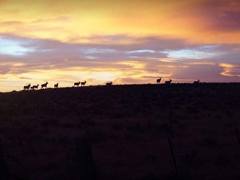 Kaycee Land & Livestock Ranch, Farm for Sale in Wyoming, 256540 FARMFLIP