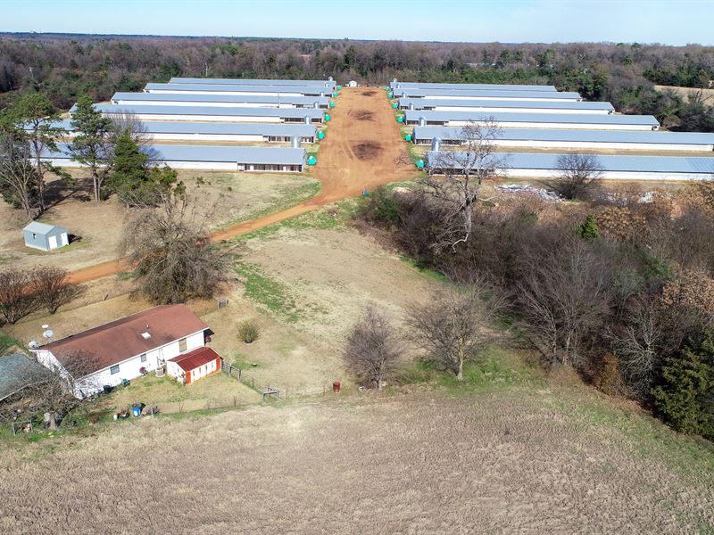 Pilgrim Farm 30, Farm for Sale in Texas, 256542 FARMFLIP