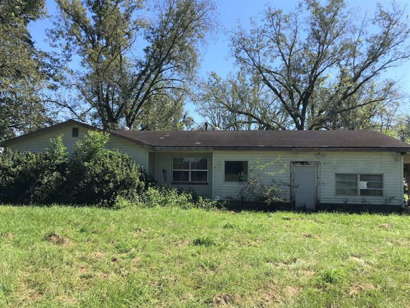 Fixer Upper, Beautiful Acreage, Farm for Sale in Florida, 256694