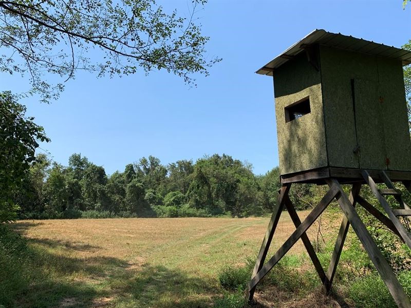 Hunting Property Adams County, Farm for Sale in Mississippi, 256710