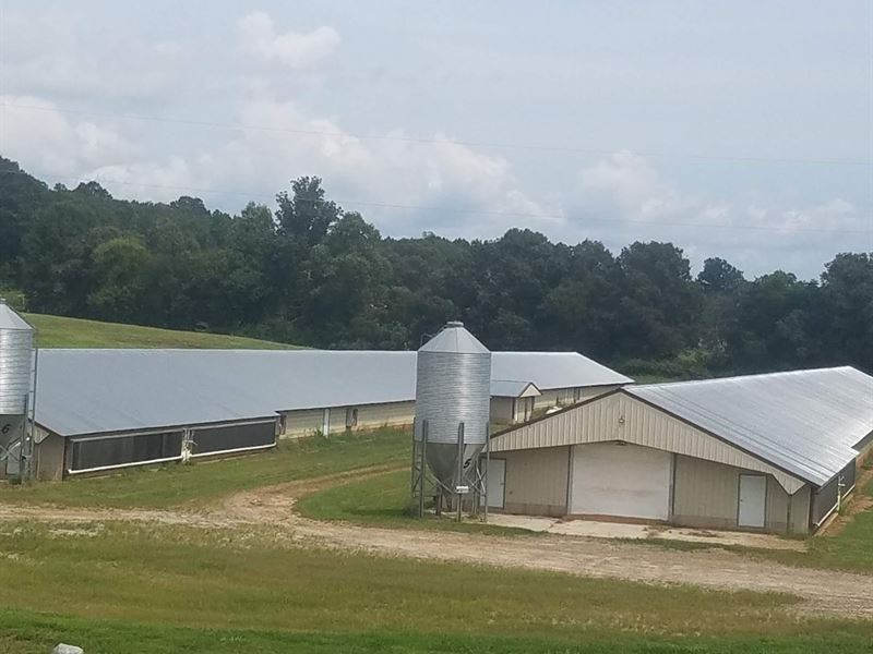 NC Broiler Farm, Alexander Co. 6 : Taylorsville : Alexander County : North Carolina