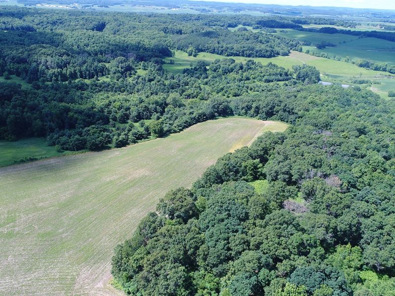 62 Acres Trempealeau County, WI, Farm for Sale in Wisconsin, 256807