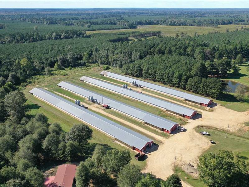 30 Acre Poultry Farm, Bradley, Farm for Sale in Arkansas, 256971