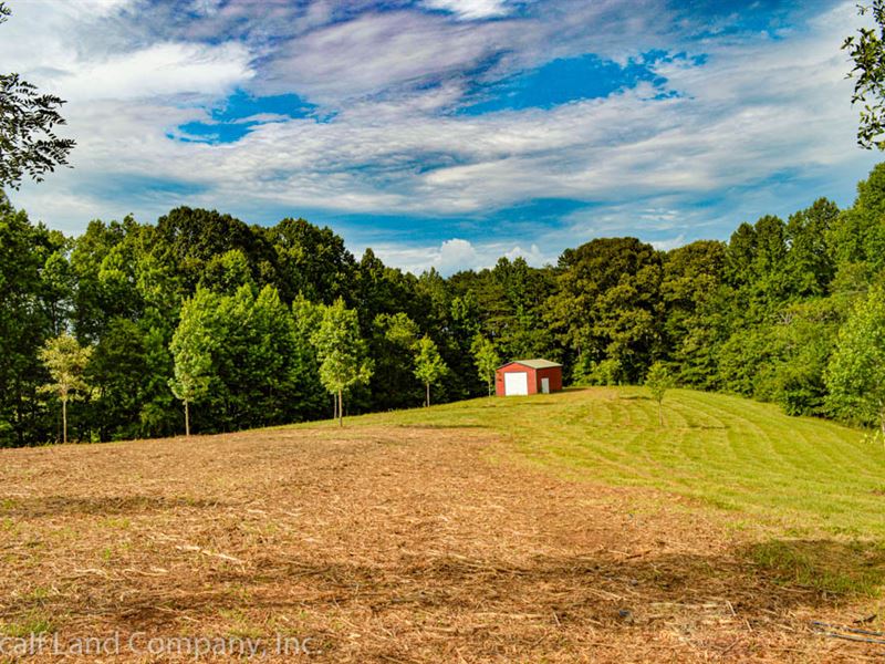 13 Acre Private Homesite, Farm for Sale in South Carolina, 257003