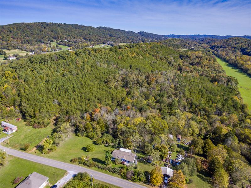 64 Acres Unrestricted Close to I40 Farm for Sale in Dandridge