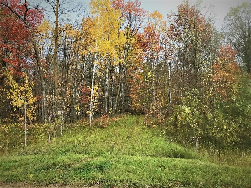 MN Hunting Property, Mahnomen, Farm for Sale in Minnesota, 257086