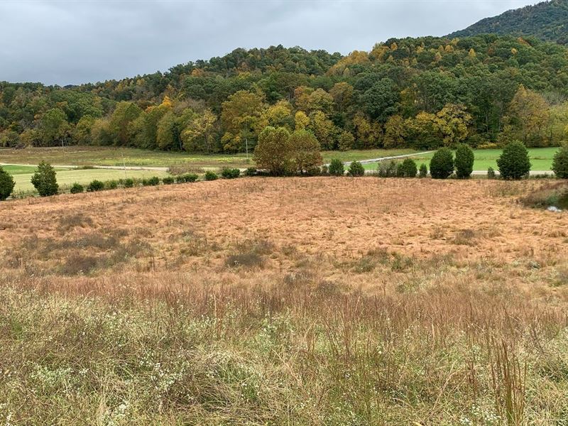 East Tennessee Mini Farm Hawkins : Farm for Sale in Rogersville
