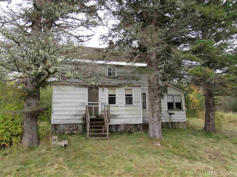 Tapiola Farmstyle Home, 40+/ Acres, Farm for Sale in Michigan, 257255 FARMFLIP