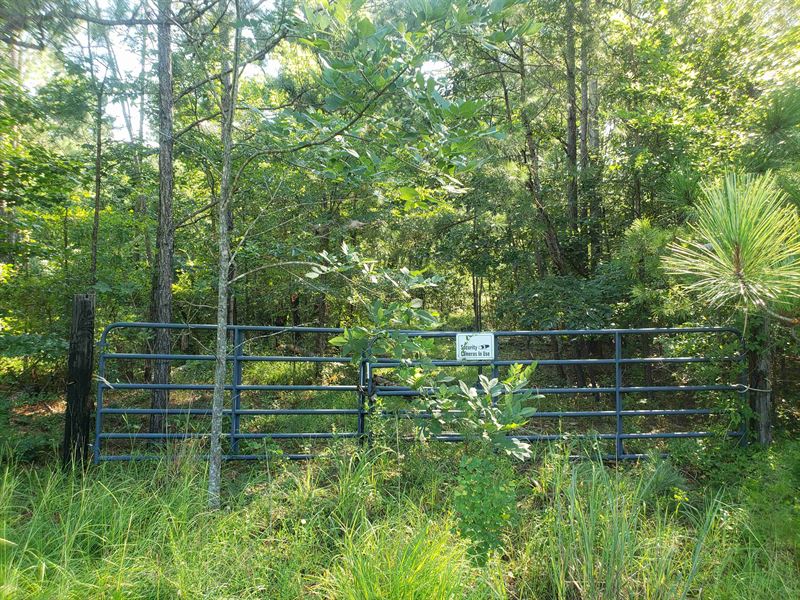 Densely Wooded Mini Farm, Farm for Sale in Alabama, 257275 FARMFLIP