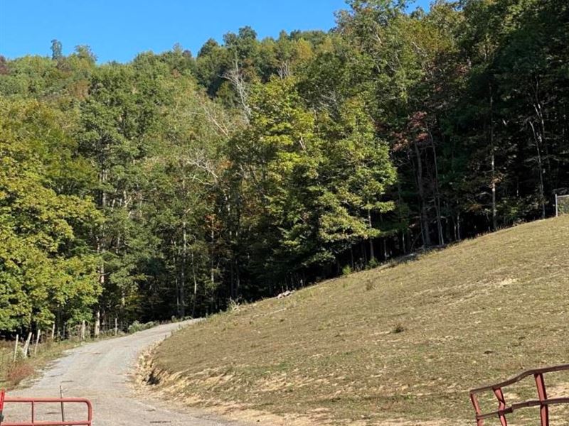 280 Acres in Blackwater, VA, Farm for Sale in Virginia, 257488 FARMFLIP