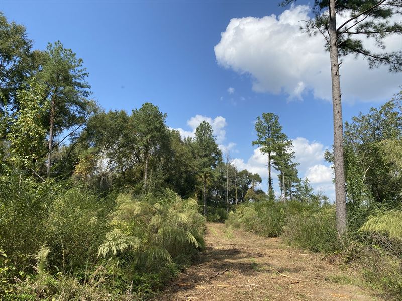 Small Tract Surrounded by Farmland, Farm for Sale in 257540