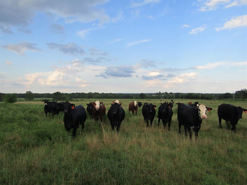 Ranch & Hunting Land Scipio, Farm for Sale in Oklahoma, 257663 FARMFLIP