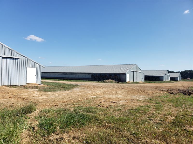 4 Sanderson Poultry Breeder Houses, Farm for Sale in 257670