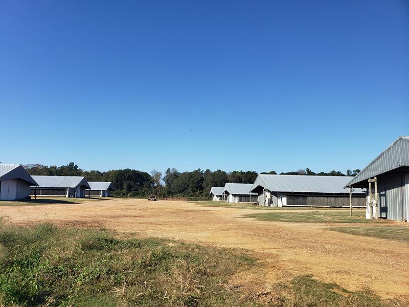 8 House Broiler Poultry Farm, Farm for Sale in 257674 FARMFLIP