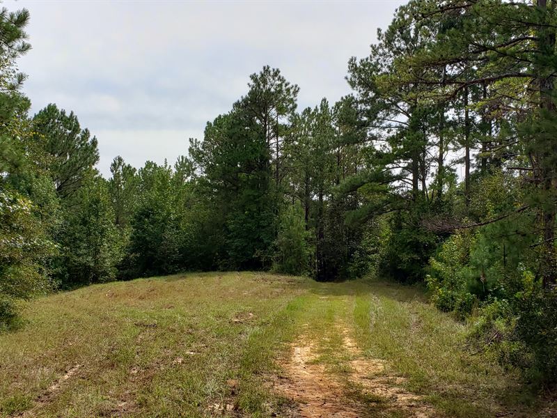 Hunting & Timber Near Lake Eufaula, Farm for Sale in Alabama, 257723