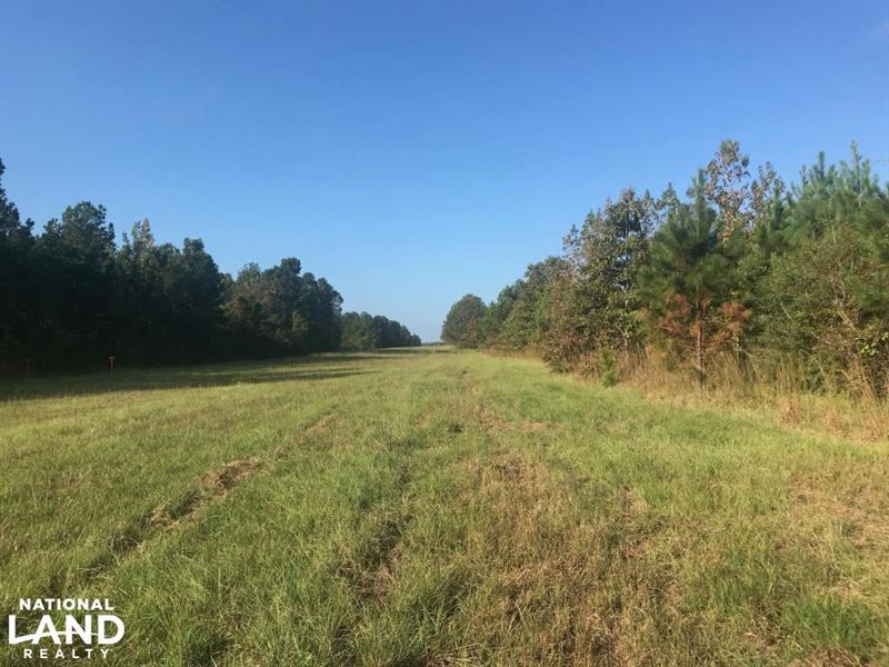 Sandy Fork Circle Hunting & Residen : Moundville : Hale County : Alabama
