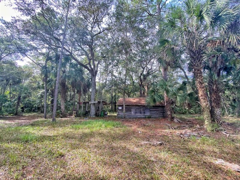 Otter Creek Florida Hunting, Farm for Sale in Florida, 257895 FARMFLIP