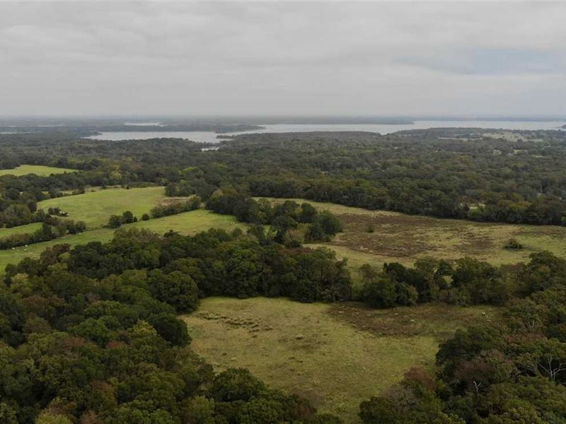 114 Acres in Emory, TX Farm for Sale in Emory, Rains County, Texas
