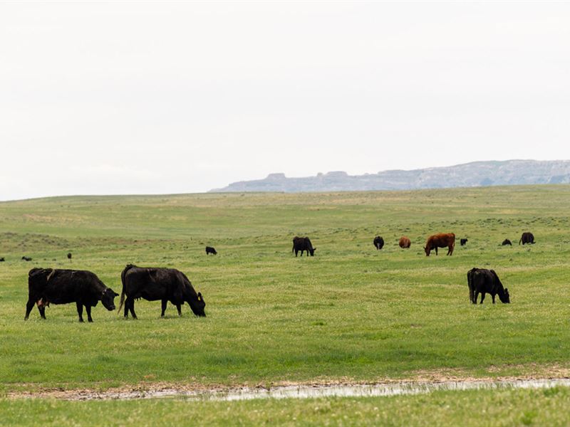 RL Ranch, Hawk Springs, Farm for Sale in Wyoming, 258127 FARMFLIP