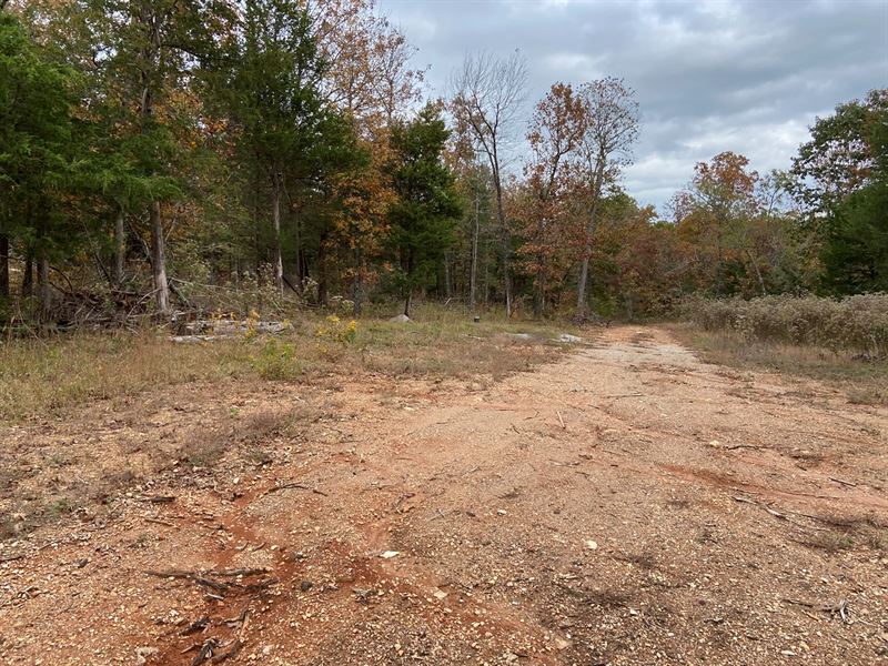 AR Hunting Land 10.6 Acres Arkansas : Ravenden Springs : Randolph County : Arkansas