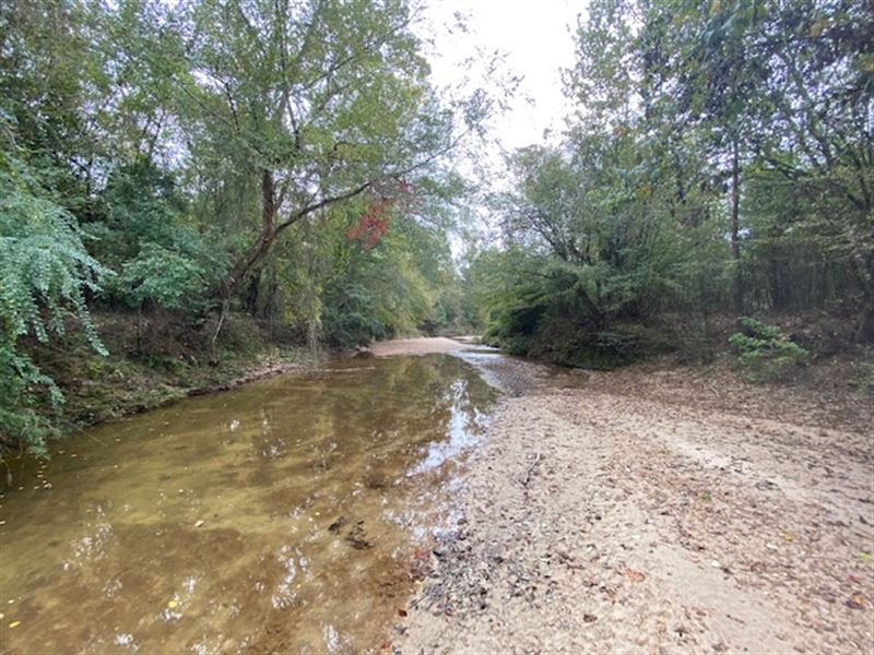 69 Acres Of Prime Hunting Land : Woodville : Wilkinson County : Mississippi