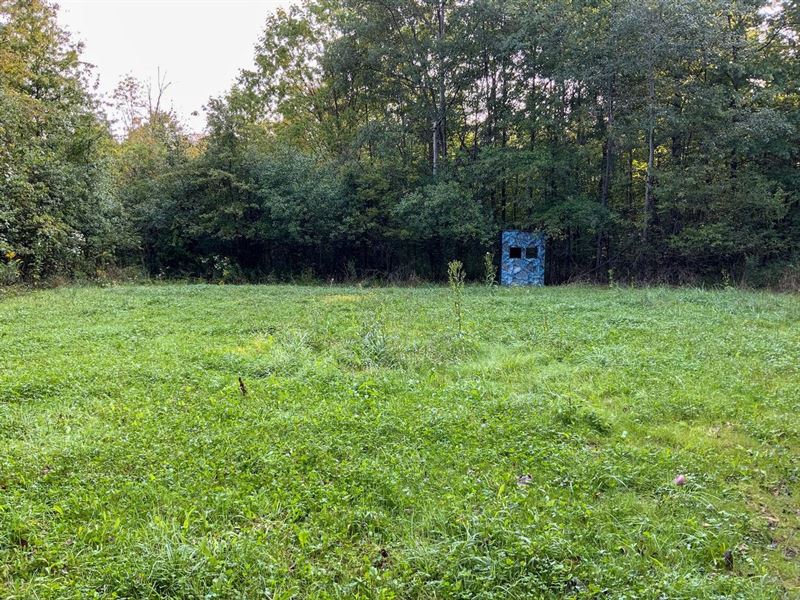 North Rd, 30 Acres, Trumbull Coun, Farm for Sale in Ohio, 258352