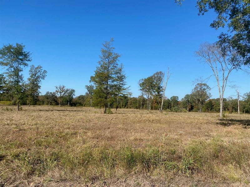 For Sale in Red River County, TX : Avery : Red River County : Texas