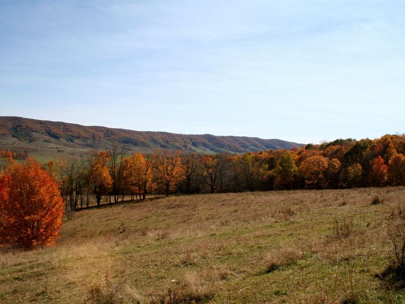 Grazing Hunting Land/Blue Grass, Farm for Sale in Virginia, 258428