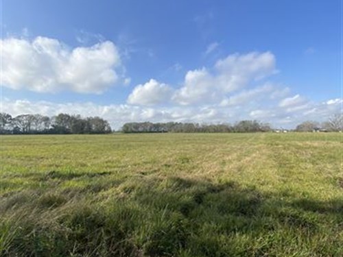18 Acre Mini Farm, Lafayette Parish : Lafayette : Louisiana